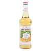 Monin Toffee Nut Syrup